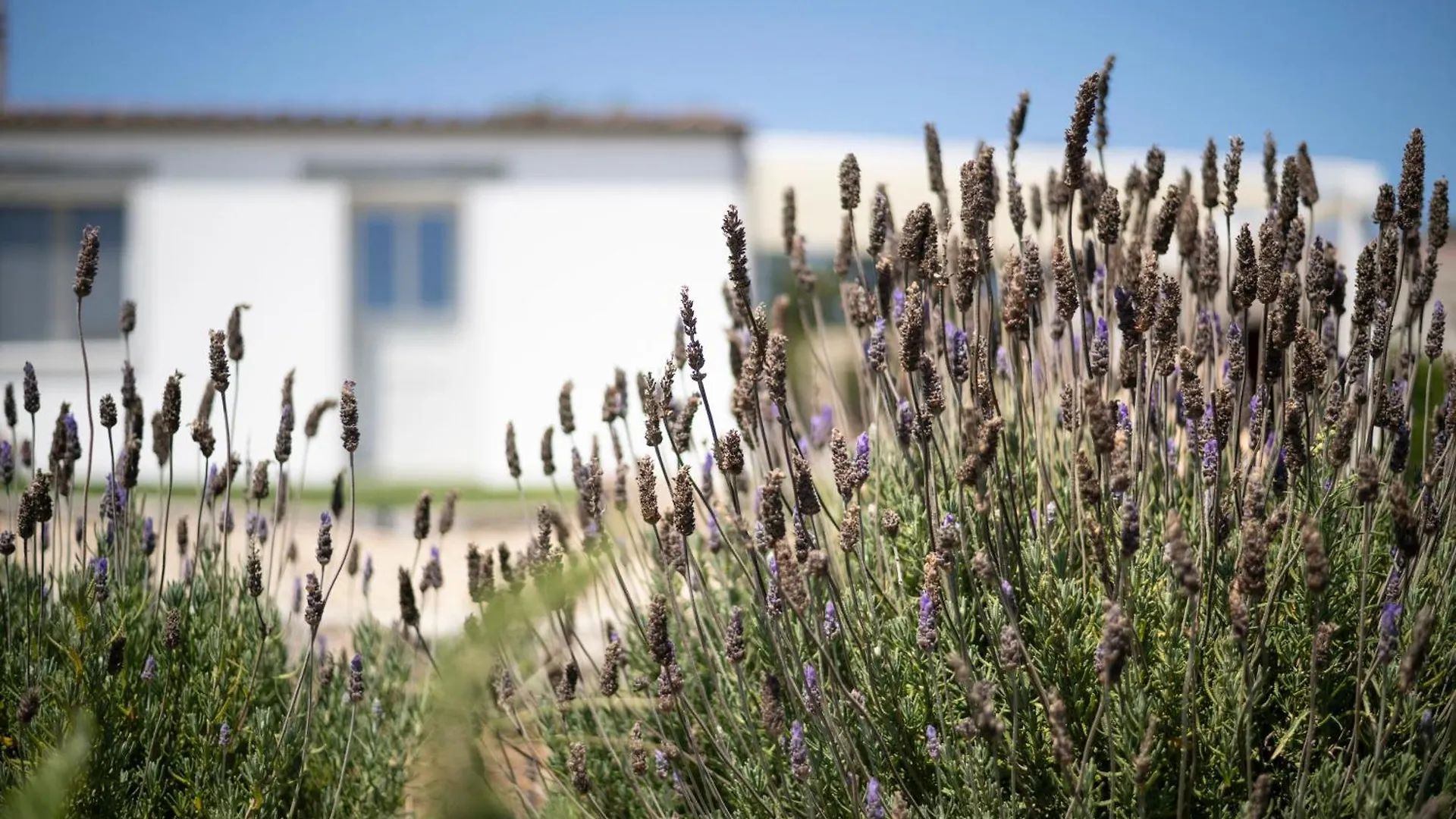 Casa Di Minnanni B&B Santa Teresa Gallura